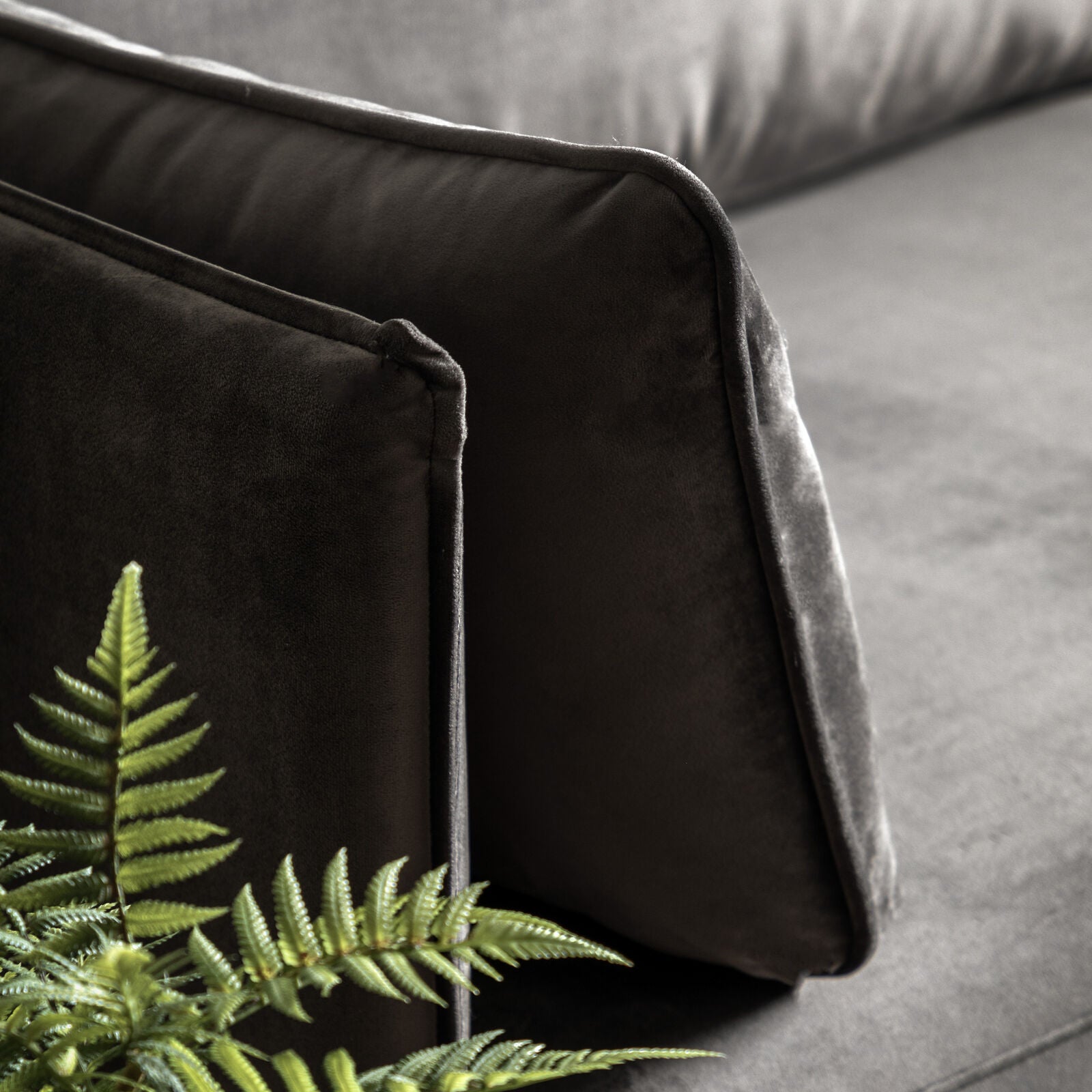 Teddy 3 seat sofa in truffle velvet with black metal legs | malletandplane.com